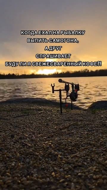 Клип @zatropheem