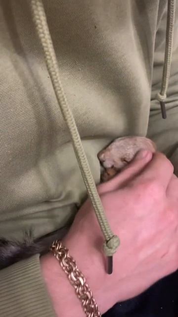 Устал малыш, шкоды натворил и строит планы на завтра