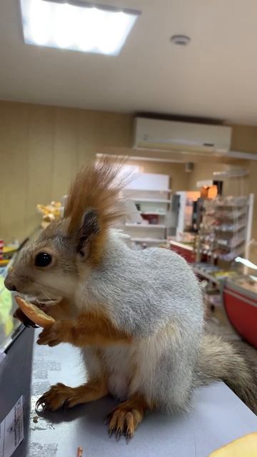 В магазине угощают яблом