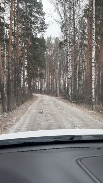 Video-10-04-26-07-03