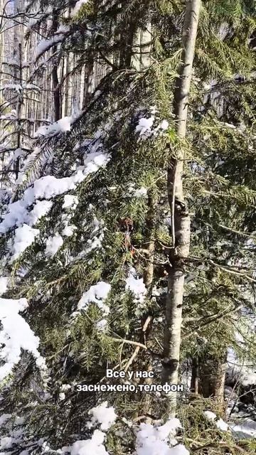 Прогулка по зимнему лесу в апреле.
#весна#апрель#зима
#лесопарк#прогулка
#дюхалёвина#вместемысила