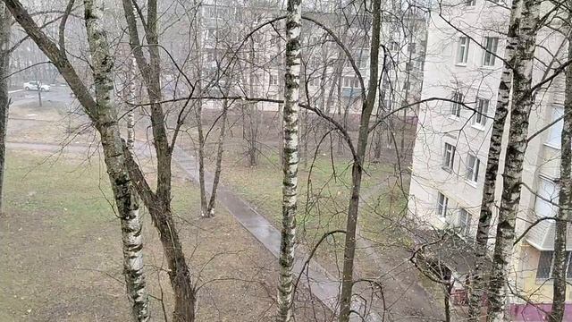 СКАЖИТЕ МНЕ КОГДА ТУДА ИДТИ 10-04-2026