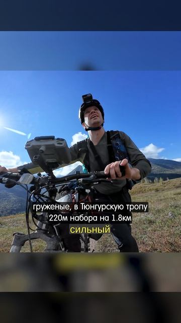 306e1c3bd3089299497c5a941c6258b1