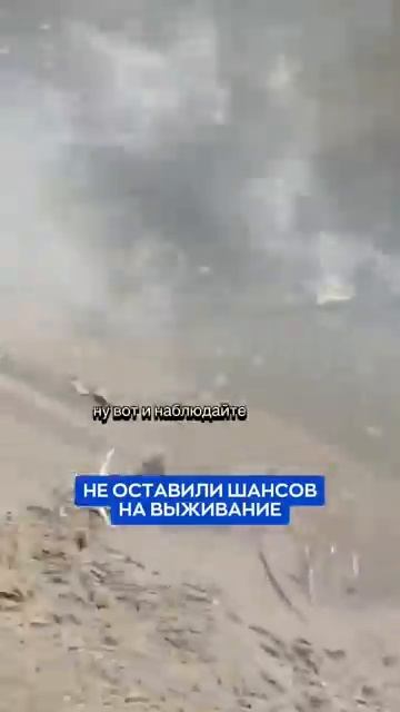 #мотивация #новости #приморье #рыба