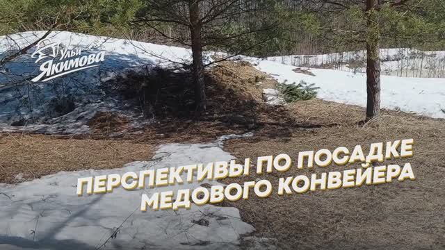 Перспективы по посадке медового конвейера на освободившейся от пасеки территории