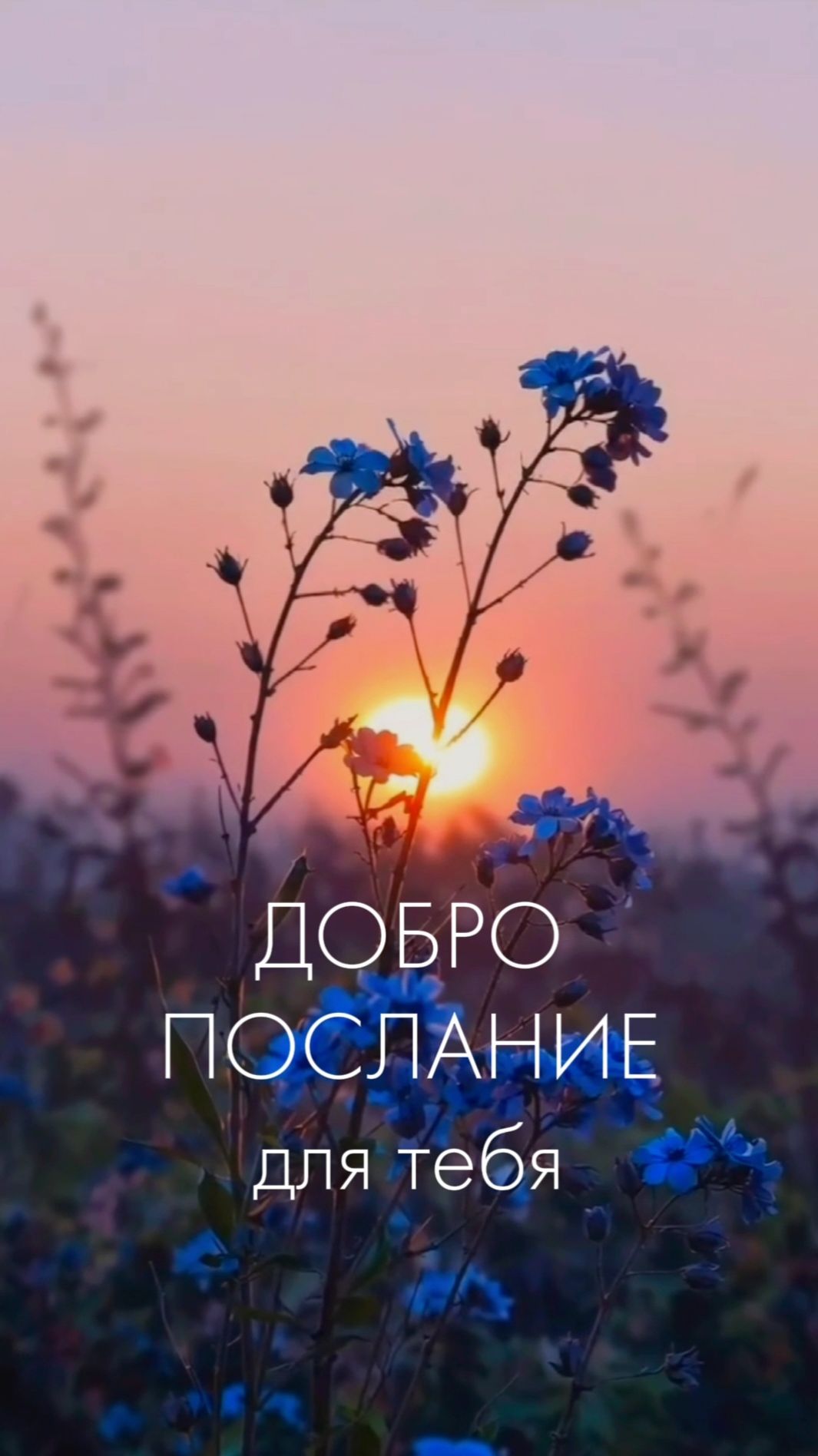 Доброе послание