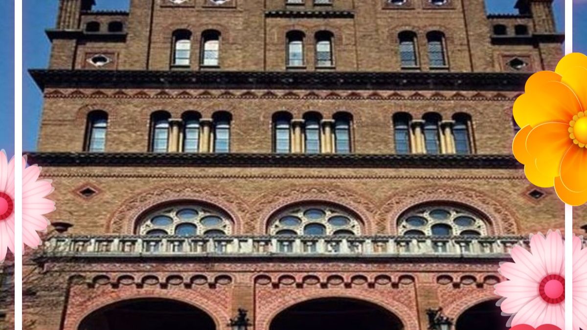 Прогулянка   Чернівецьким   Національним   університетом