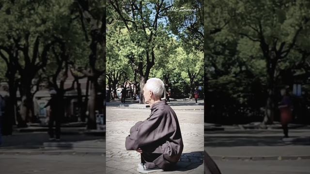 Медленное приседание как практика осознанности: зачем замедляться ради гибкости и баланса