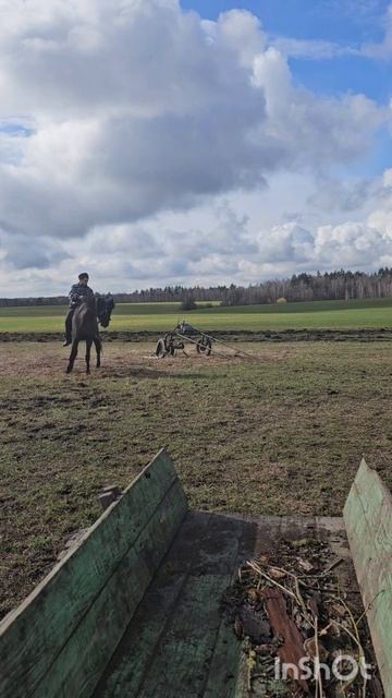 Не просто обучать лошадей