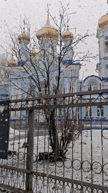 Весна, как всегда удивляет... Красота