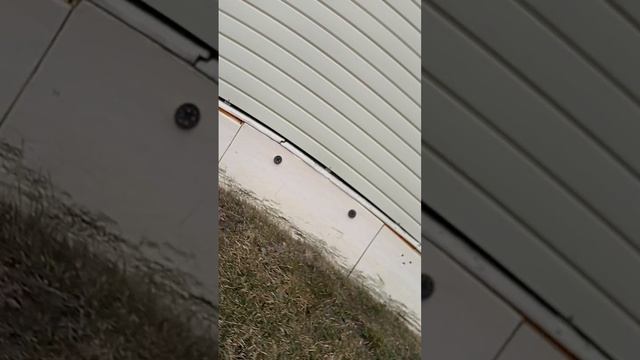 мы с Алисой проводим время