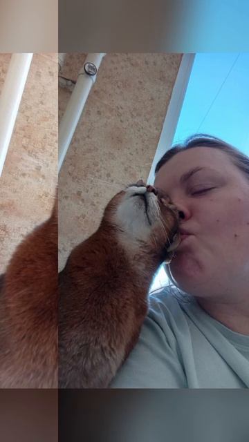 Моя Мишель 🤭💕😆