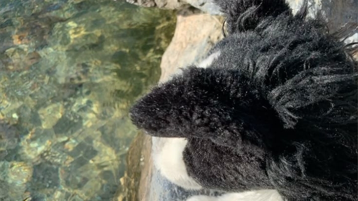 чё. за. хре.  нь?!!!