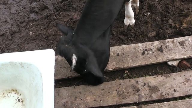 2015 11 09 Едем в монастырь