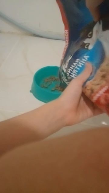 Я ложу кошке картошке корм