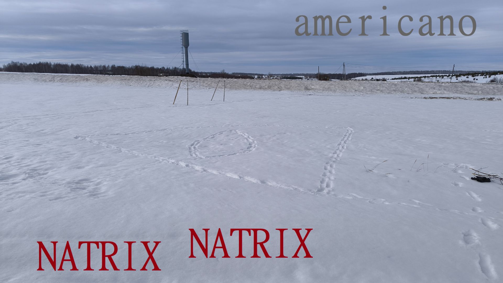 Natrix Natrix - Americano