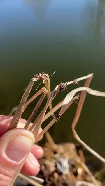 Ff0a094597a2ae653b12c5670d64d40d