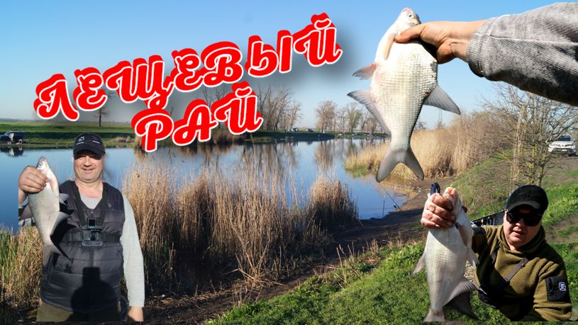 Рыбалка на ЛЕЩА в апреле. Сумасшедший клев леща!