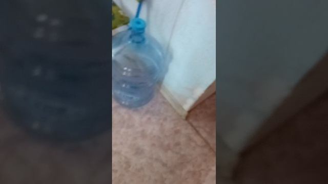 проводим с Алисой хорошо время