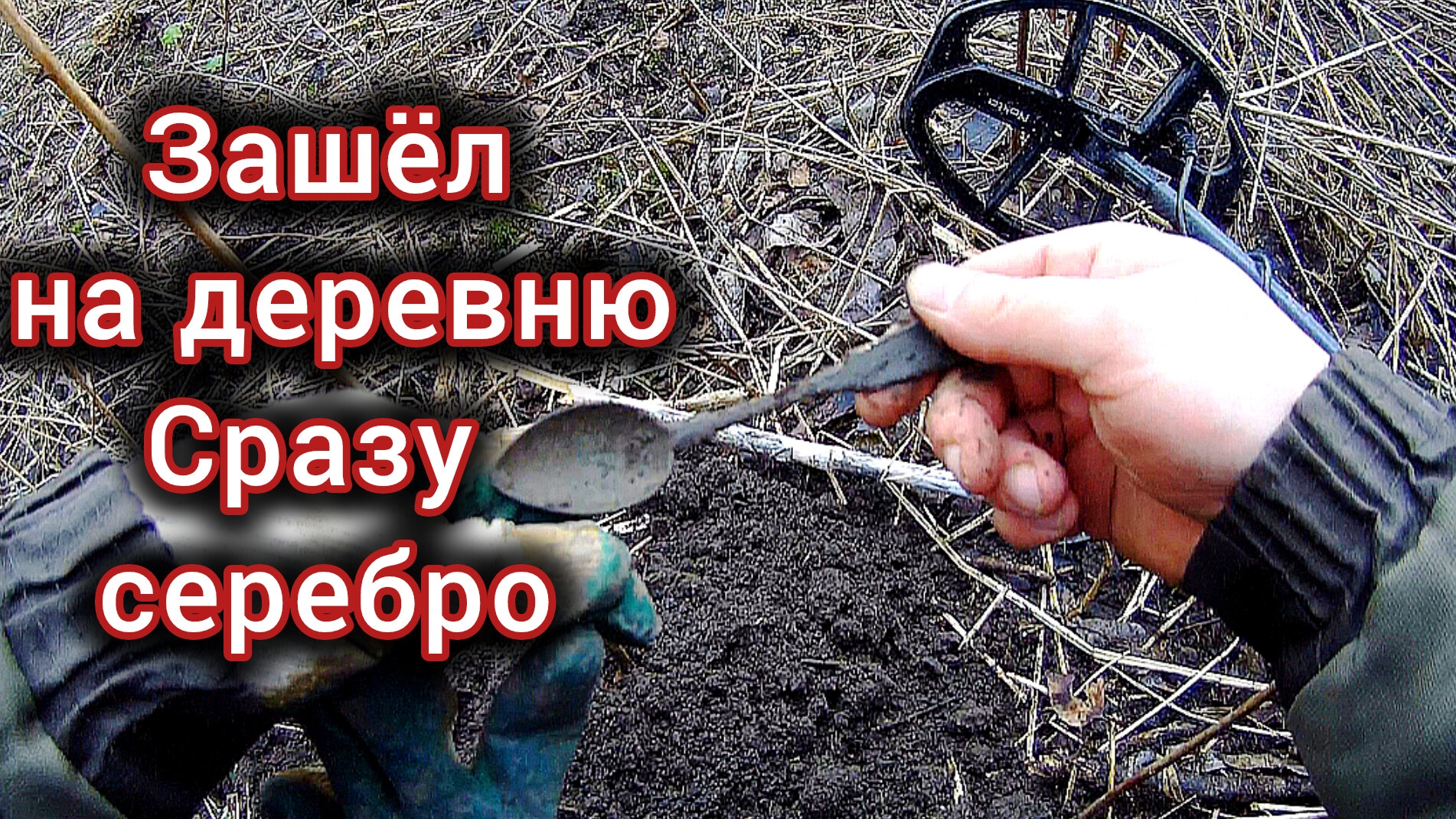 Зашёл на деревню и с ходу серебро находки с Nokta Triple Score