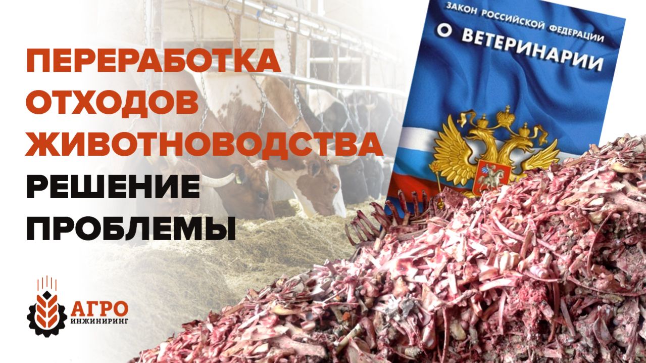 Переработка отходов животноводства. Законодательство и решение проблемы на примере нашего заказчика.