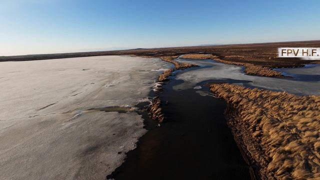 Ранняя ВЕСНА. ЕАО. 2026