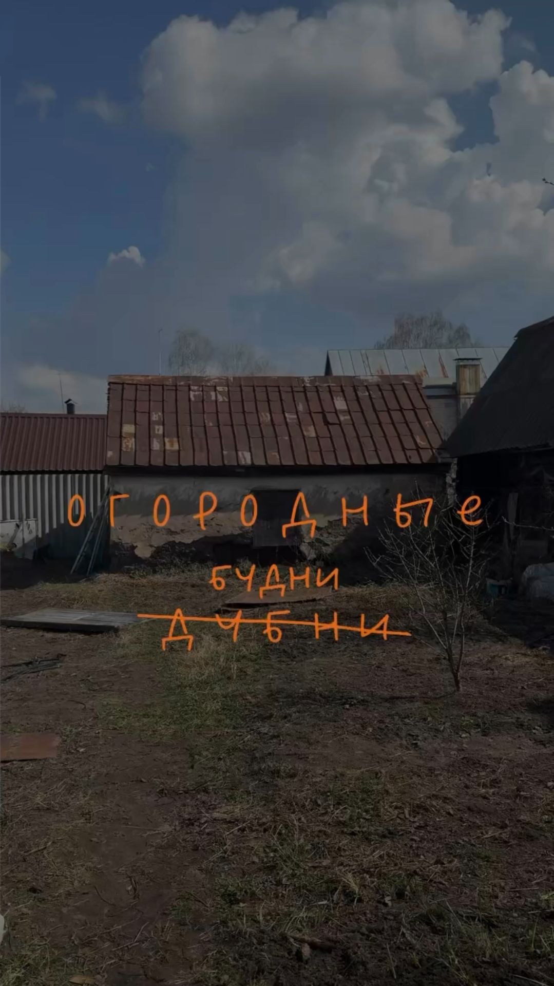 День 4: снос туалета