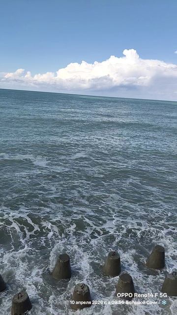 10.04.2026 Лазаревское