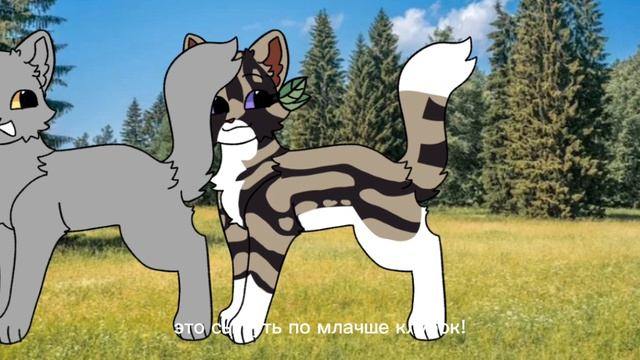 Опять видео от сью! Можете реакцию делать!