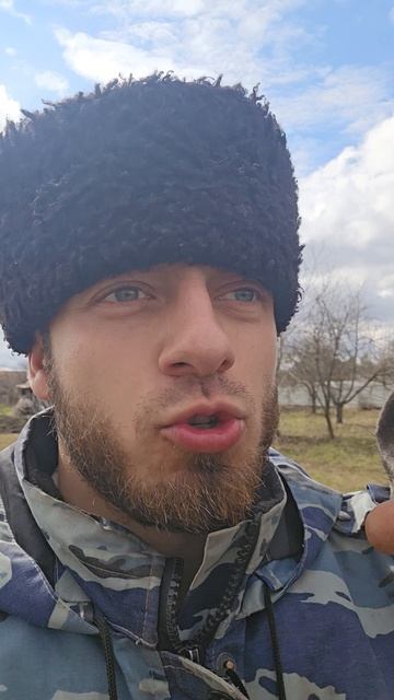 Прикусывает коник