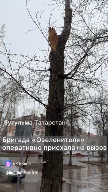 Так началось пятничное утро в редакции «Бугульминской газеты»