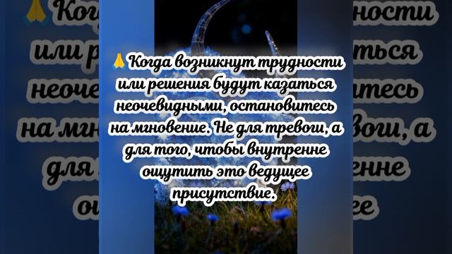 Квантовый прогноз на сегодня, 10.04.2026г.