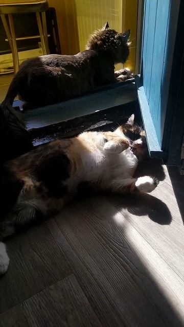 Солнечные ванны