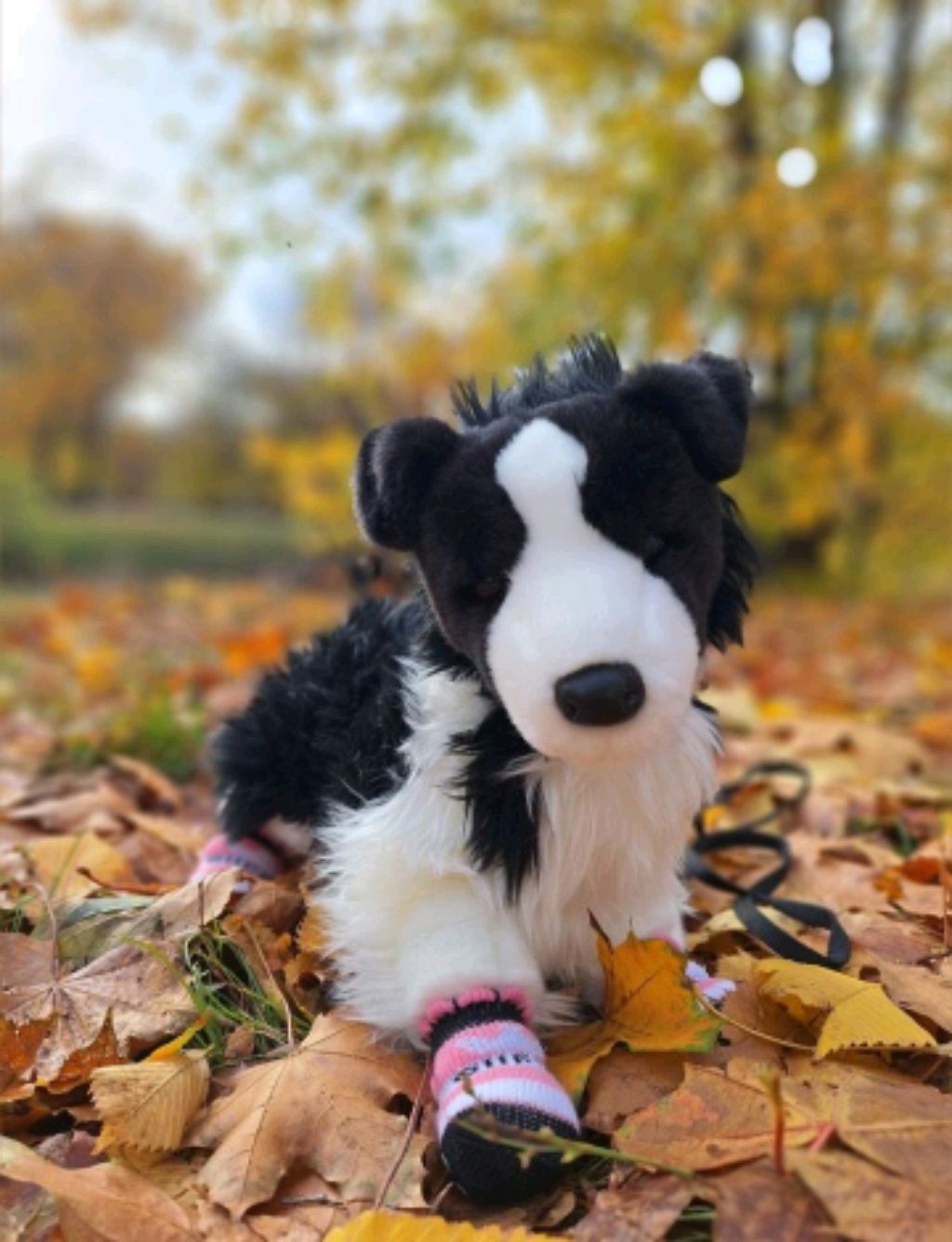 моя традиция ( трансляция)