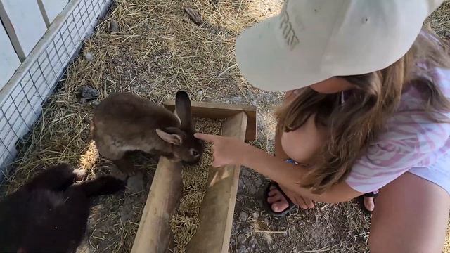 2024 08 01 Анапа