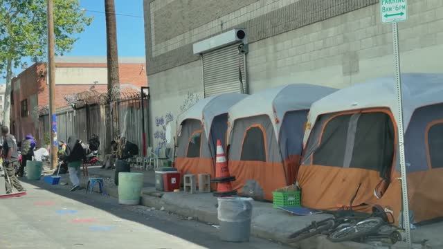 Ba069ec21772617700c93264fe08de88