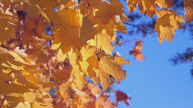 7c755c29c6e9d817341e9c5d62abb855