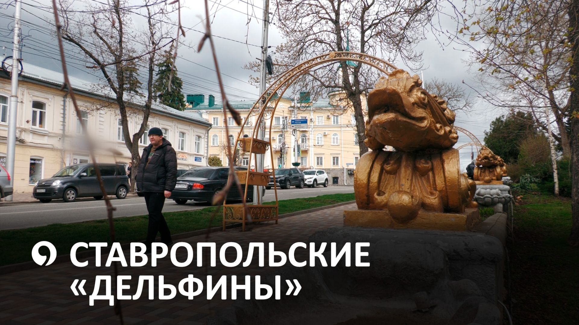 В Ставрополе начался демонтаж декоративной стены «Дельфины»