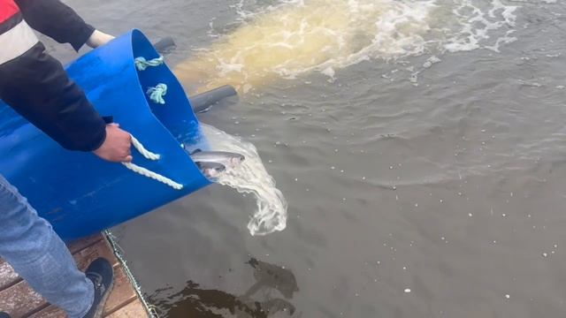 Copy_7DDFEB98-F447-4D5F-A1EF-149DF28E7E1E