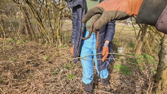 8f656413d038a683e5d360bbccfbb6be