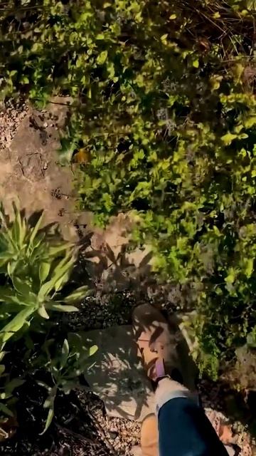 ПУСТЬ ТВОЁ СЕРДЦЕ НАПОЛНИТЬСЯ  БЛАГОДАРНОСТЬЮ И ЭТОТ ДЕНЬ СТАНЕТ ВОЛШЕБНЫМ.