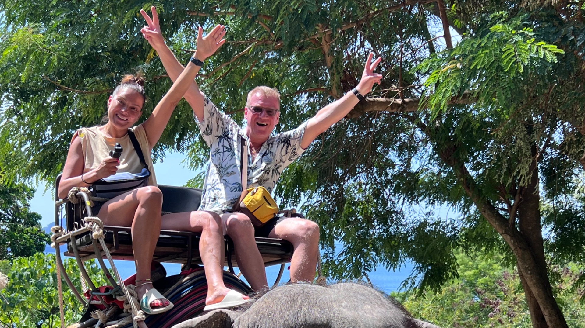 СЛОНЫ НА ПХУКЕТЕ/ ТАИЛАНД 2026/ ЧЕМ КОРМЯТ СЛОНОВ НА ПХУКЕТЕ/ЭКСКУРСИЯ К СЛОНАМ