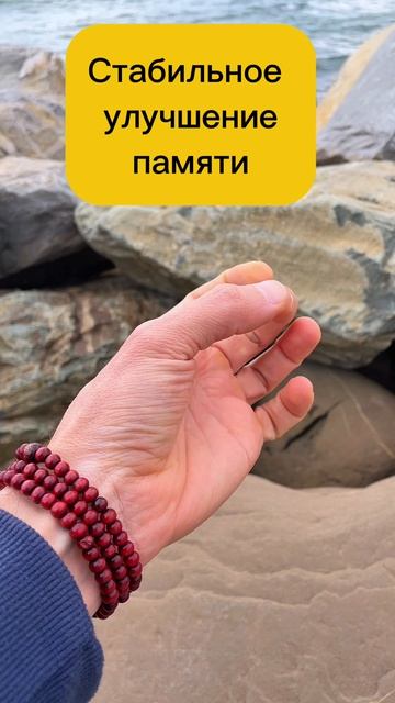 Качаем мозг, улучшаем память, включаем