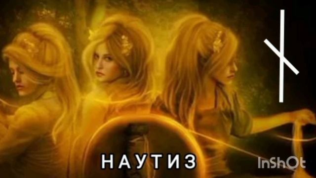 Н А У Т И З. Моя Виса.