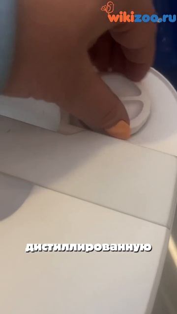 Водная грелка WikiVET HeatPad