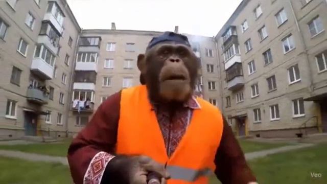 Прикол с обезьянкой