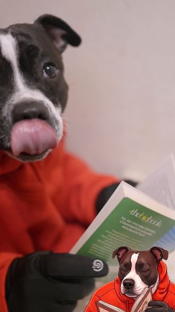 Я не буду больше читать книги 📗📖