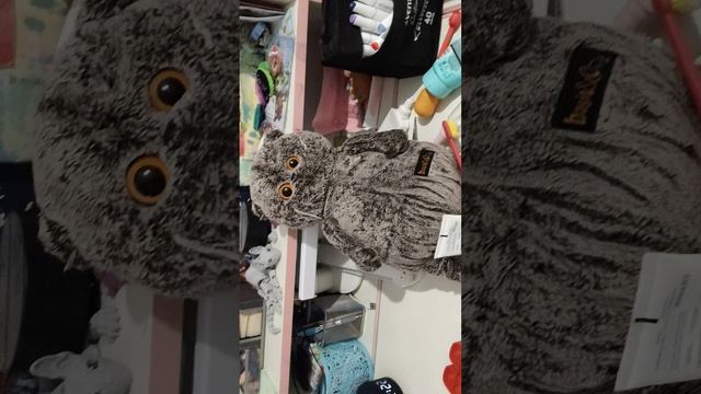 ВЛОГ ВЕЧЕР С БАСИКОМ/★БАСИКИ ЛУЧШЕЕ★