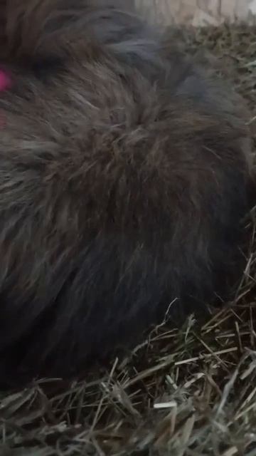 ДЕДУШКЕ 20 ЛЕТ?