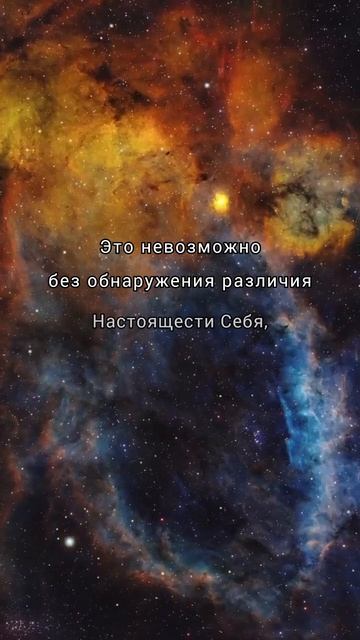 Яна Корнилова